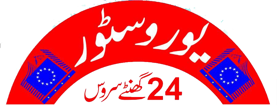 Euro Store logo